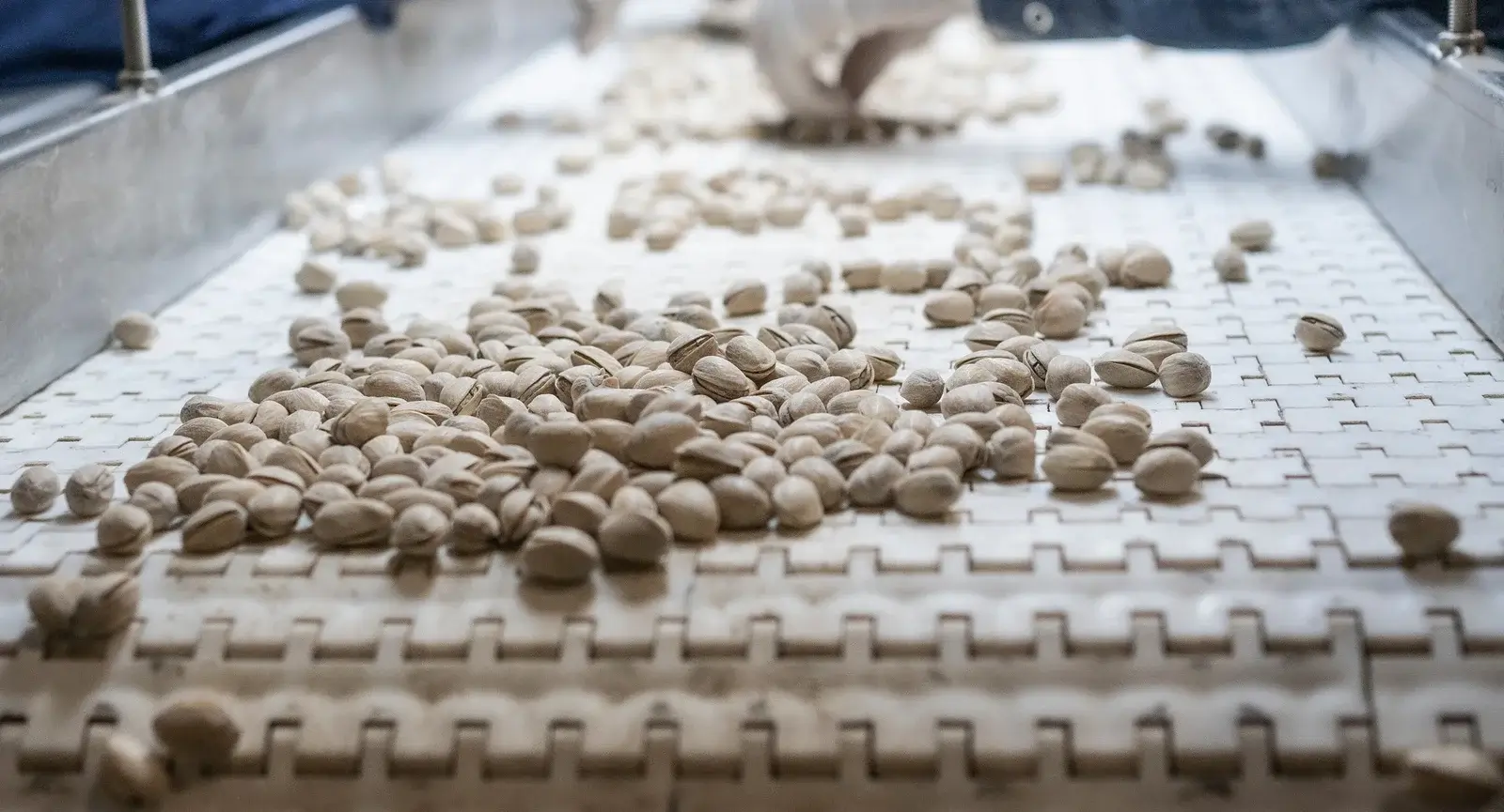 Pistacho De Los Andes-Banner Home C