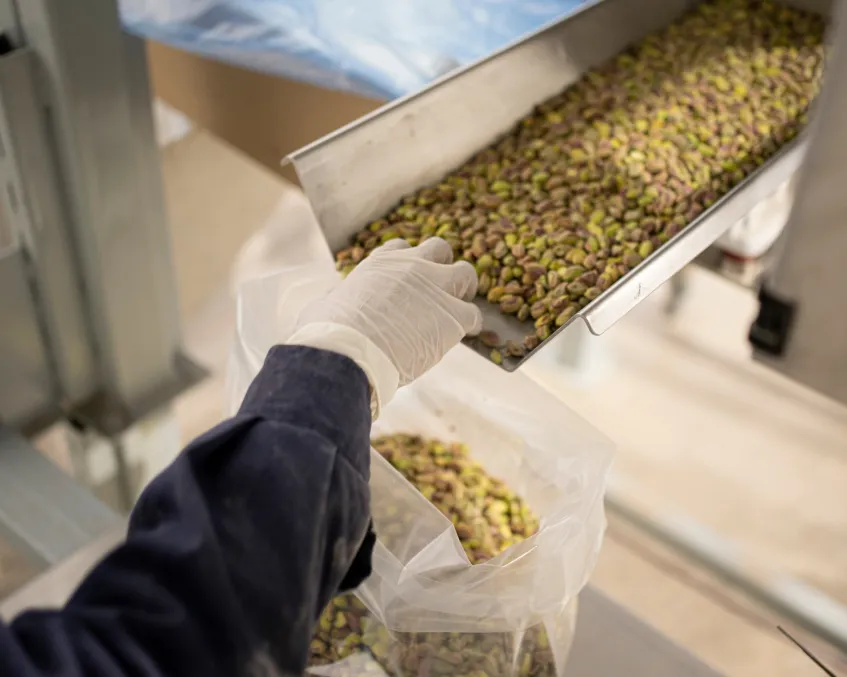 Pistacho De Los Andes-Banner Home